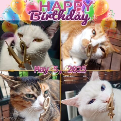 coco & fumi & Lin & Ryu