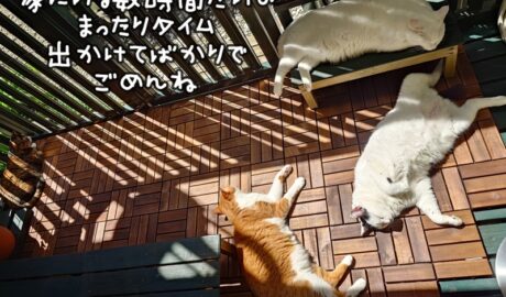 coco & fumi & Lin & Ryu