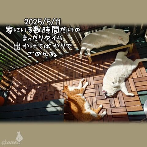 coco & fumi & Lin & Ryu