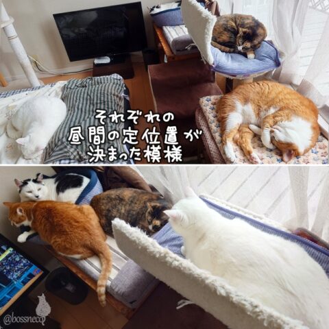 coco & fumi & Lin & Ryu