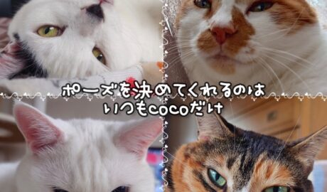 coco & fumi & Lin & Ryu