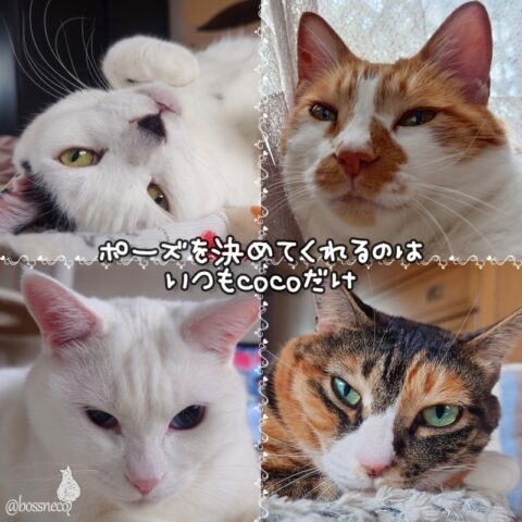 coco & fumi & Lin & Ryu