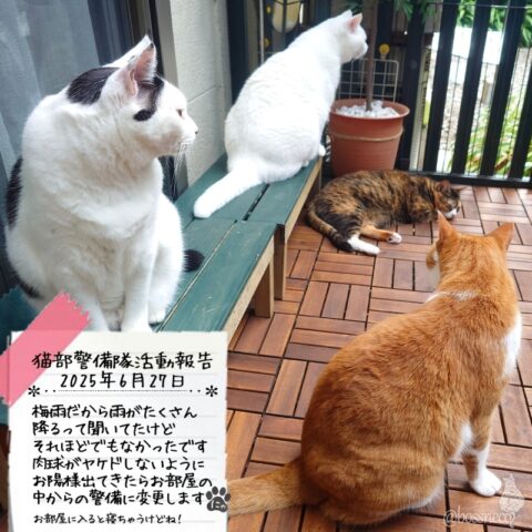 coco & fumi & Lin & Ryu