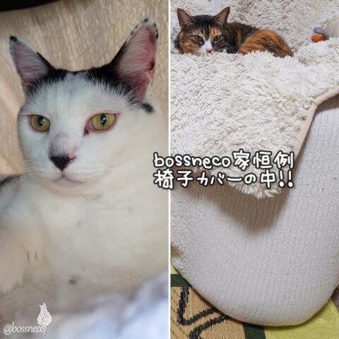 coco & fumi & Lin & Ryu