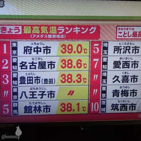 最高気温ランキング