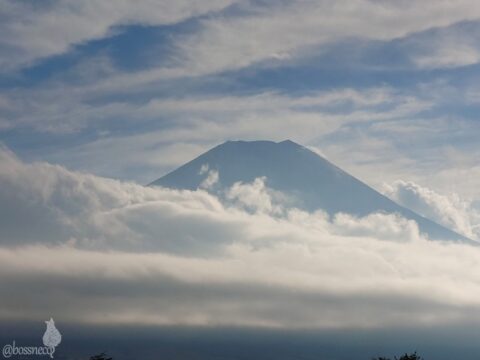 富士山