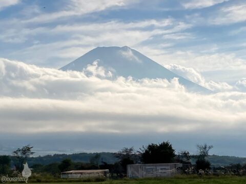 富士山