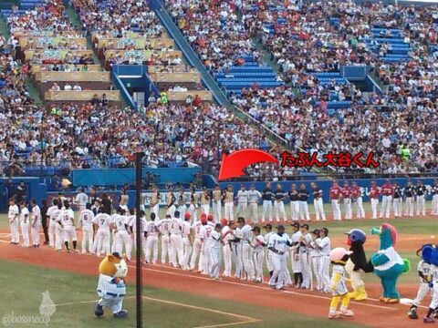 オールスターズ