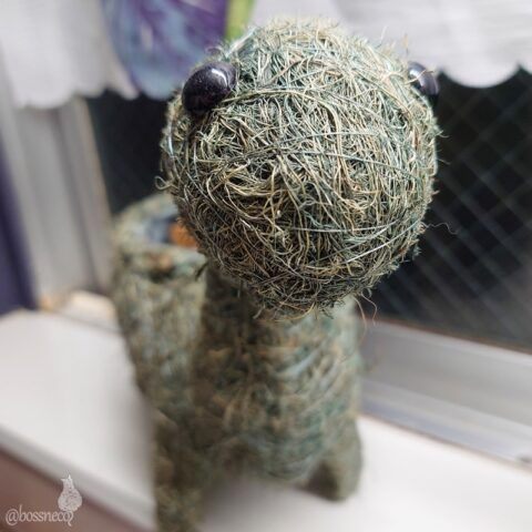 ボンセレンシス