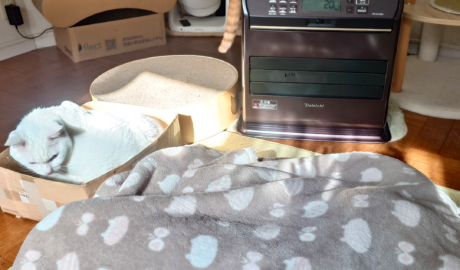 coco & fumi & Lin & Ryu