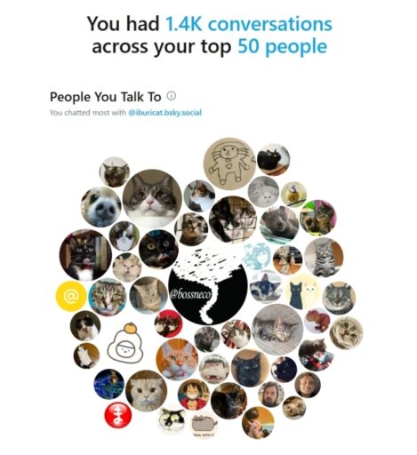 Bluesky Wrapped