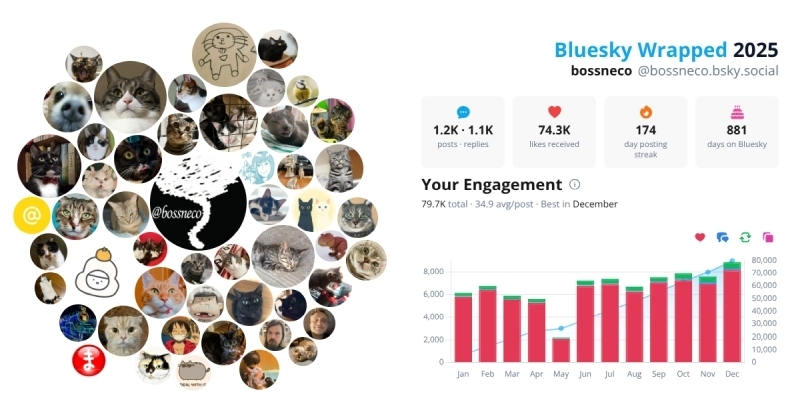 Bluesky Wrapped