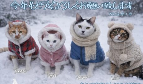 coco & fumi & Lin & Ryu