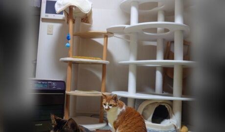 coco & fumi & Lin & Ryu