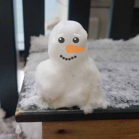 雪だるまもどき