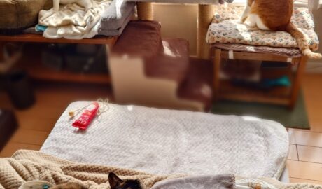 coco & fumi & Lin & Ryu