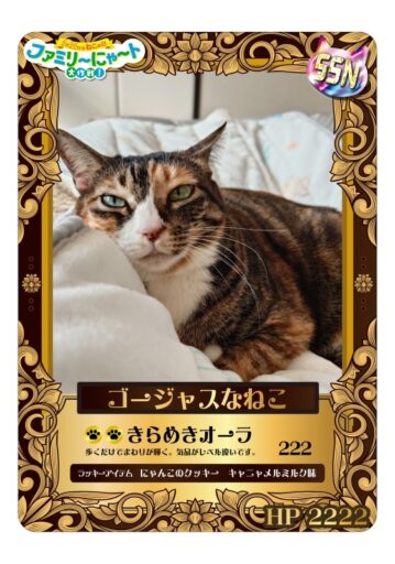 ファミリ〜にゃ〜ト大作戦