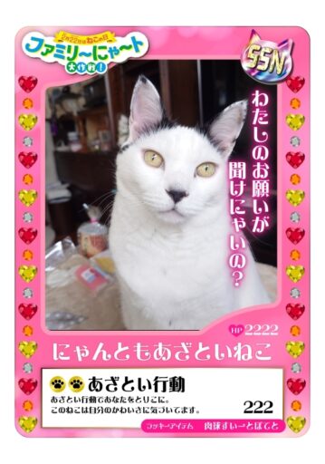 ファミリ〜にゃ〜ト大作戦