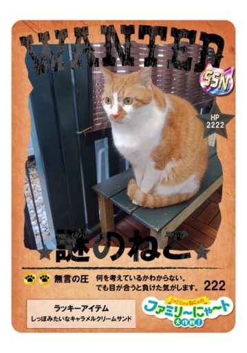 ファミリ〜にゃ〜ト大作戦