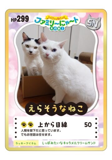 ファミリ〜にゃ〜ト大作戦