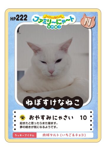 ファミリ〜にゃ〜ト大作戦