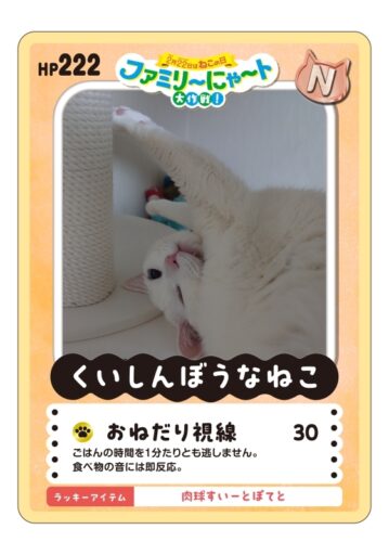 ファミリ〜にゃ〜ト大作戦